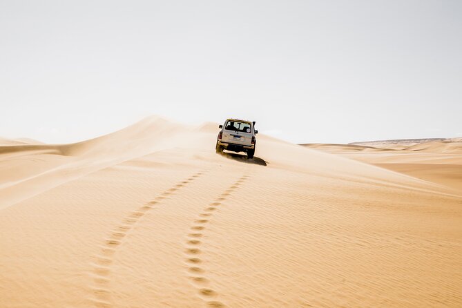 From Cairo: Desert Safari, Waterfalls, Sand boarding and Camel ride with Lunch - Key Moments That Make This Safari Feel Like More Than Just a Drive