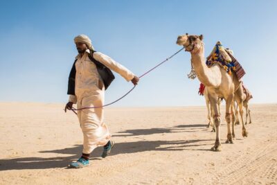 From Cairo: Desert Safari, Waterfalls, Sand boarding and Camel ride with Lunch - Pickup Windows and Timing Reality: The Drive Is the Other Main Activity