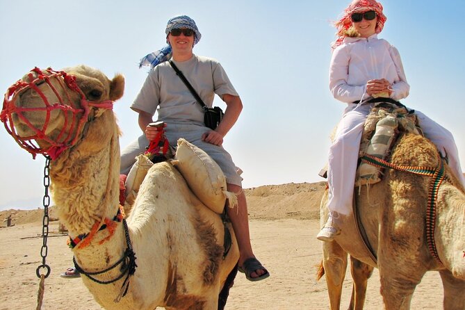 From Cairo: Desert Safari, Waterfalls, Sand boarding and Camel ride with Lunch - Price and Value From Cairo: What You’re Really Paying For