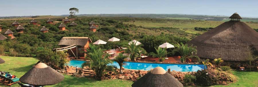 From Cape Town: 2-Day Safari at Garden Route Game Lodge - Key Points You’ll Feel Immediately