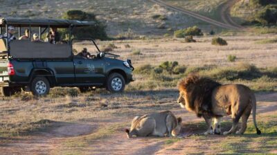 From Cape Town: 2-Day Safari at Garden Route Game Lodge - The Southernmost-Tip Moment: Cape Agulhas Lighthouse Time