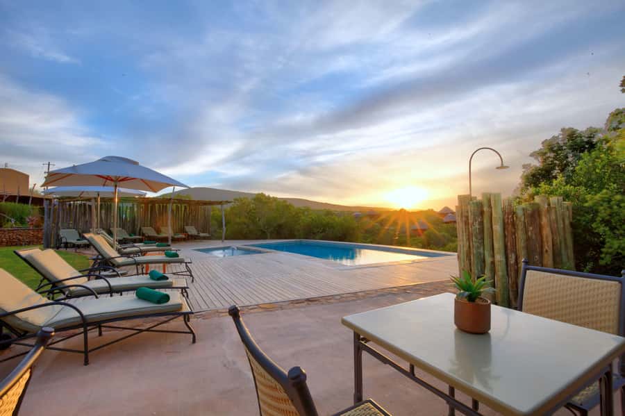 From Cape Town: 2-Day Safari at Garden Route Game Lodge - Sunset Safari in an Open Vehicle: When the Big Animals Start Talking