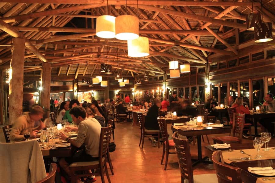 From Cape Town: 2-Day Safari at Garden Route Game Lodge - Morning Game Drive: The Second Shot (and Why It’s the Smart Part)