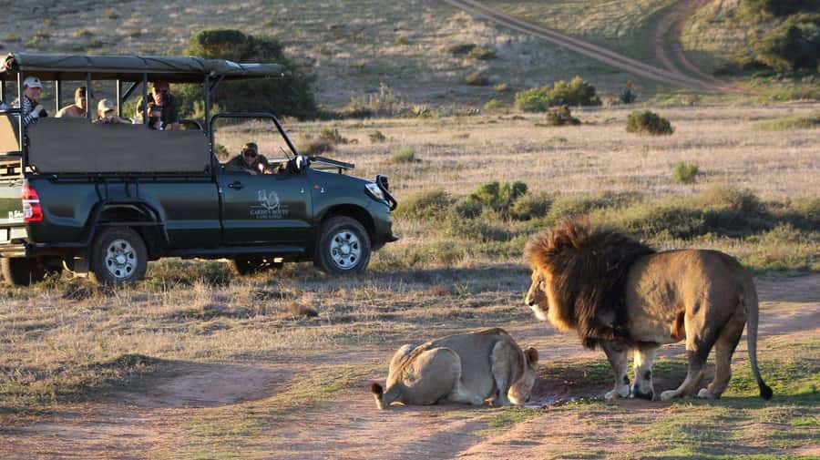 From Cape Town: 2-Day Safari at Garden Route Game Lodge - The Southernmost-Tip Moment: Cape Agulhas Lighthouse Time