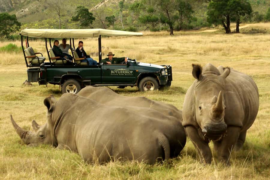 From Cape Town: 3-Day Garden Route Highlights and 4x4 Safari - Key highlights worth getting excited about