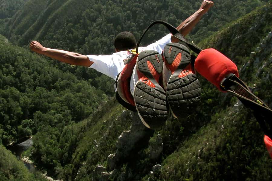 From Cape Town: 3-Day Garden Route Highlights and 4x4 Safari - Price and value: is $417 a smart deal or a gamble?