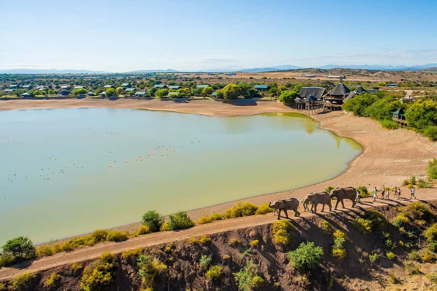 From Cape Town: 3-Day Garden Route Highlights and 4x4 Safari - Why this Garden Route safari-and-adventure mix makes sense
