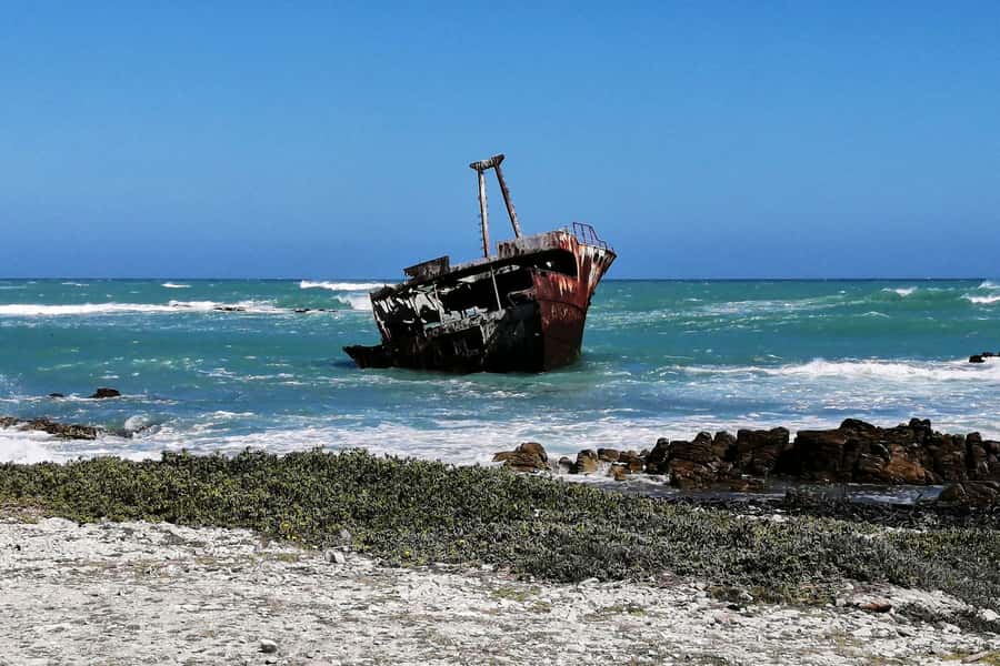 From Cape Town: 3-Day Garden Route Safari and Coastal Tour - Group size, guides, and what to expect from the people running it