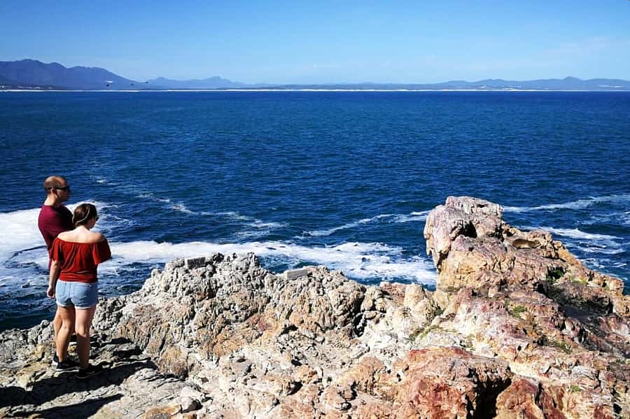 From Cape Town: 3-Day Garden Route Safari and Coastal Tour - Route 62 return: scenic mountain passes and wine tasting