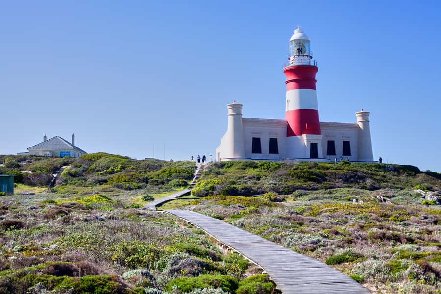 From Cape Town: 3-Day Garden Route Safari and Coastal Tour - How the $720 price stacks up for 3 days