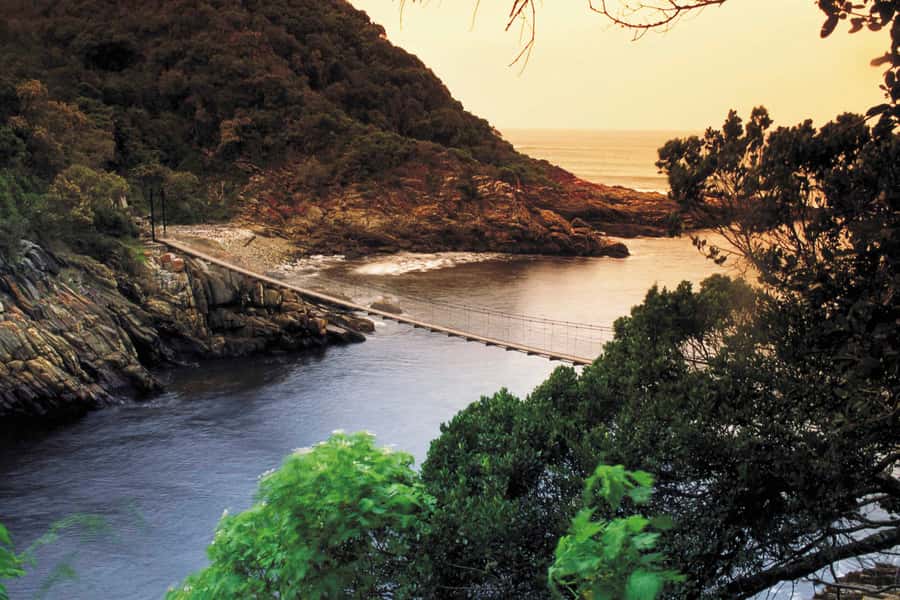 From Cape Town: 5-Day Best of Garden Route and Addo Safari - Key things I’d look forward to