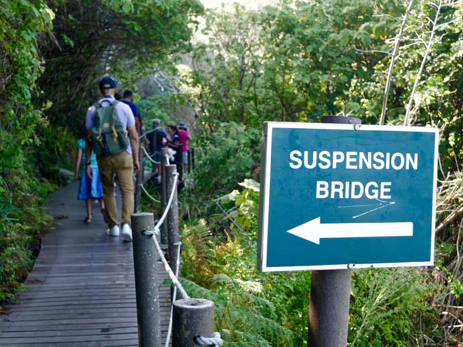 From Cape Town: 5-Day Best of Garden Route and Addo Safari - Addo Elephant National Park: the Big Five odds start early