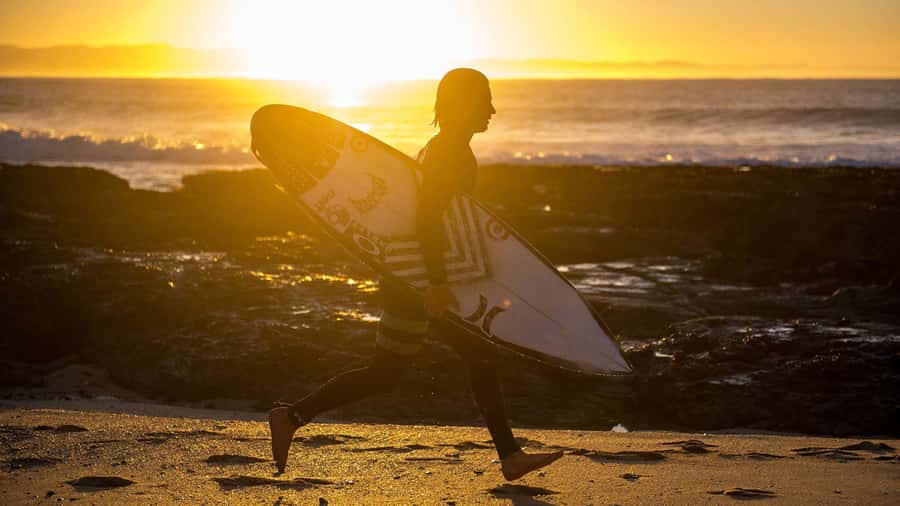From Cape Town: 5-Day Best of Garden Route and Addo Safari - Tsitsikamma National Park and Bloukrans Bridge: choose your thrill level