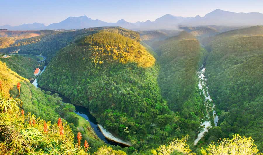 From Cape Town: 5-Day Best of Garden Route and Addo Safari - Price and value: what $675 buys you (and where you’ll likely spend extra)