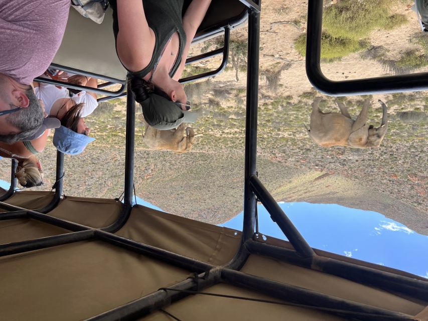 From Cape Town: Big Five Safari Experience with Lunch - FAQ