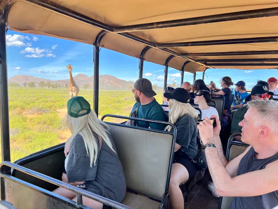 From Cape Town: Big Five Safari Experience with Lunch - Timing and transport: the 9-hour schedule reality check