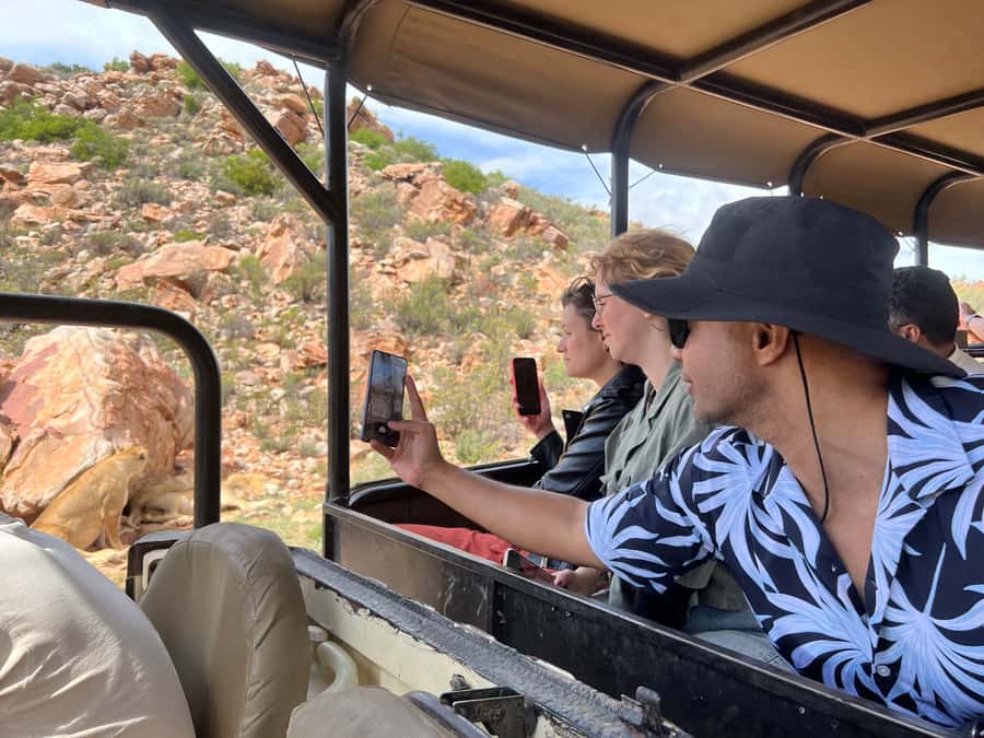 From Cape Town: Big Five Safari Experience with Lunch - Should you book this Big Five Safari with Lunch?