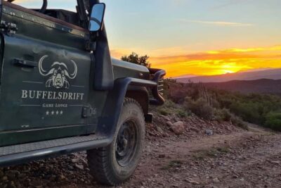 From Cape Town: South African Wildlife and Safari 2-Day Tour - Getting There: The Early Pickup and the Cape-to-Botlierskop Drive