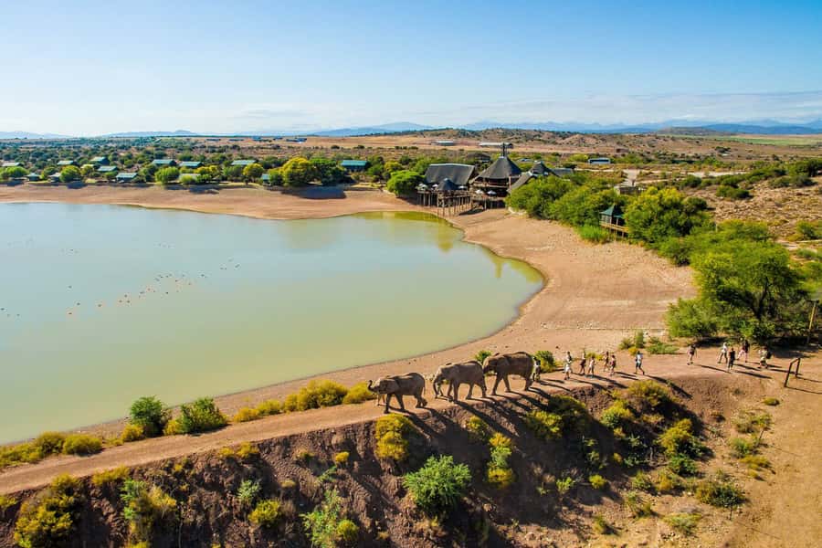 From Cape Town: South African Wildlife and Safari 2-Day Tour - Oudtshoorn Overnight: Ostrich Capital Energy and Simple Country Meals