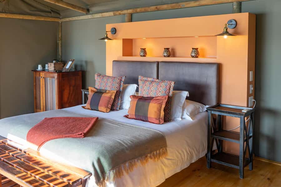 From Cape Town: South African Wildlife and Safari 2-Day Tour - Elephant Observation in Nature: When the Extra Cost Makes Sense