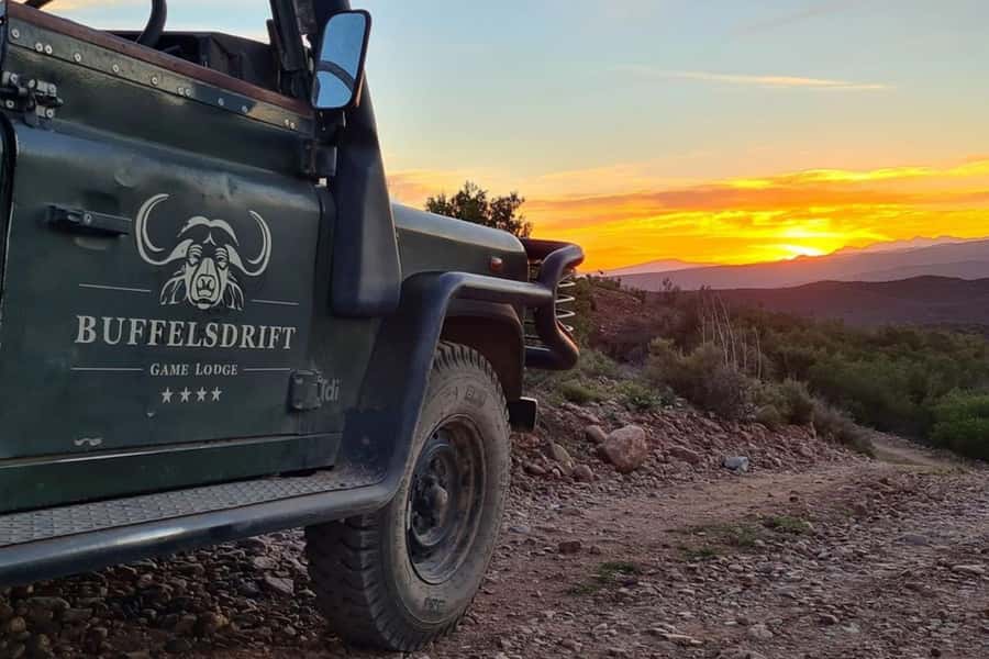 From Cape Town: South African Wildlife and Safari 2-Day Tour - Getting There: The Early Pickup and the Cape-to-Botlierskop Drive