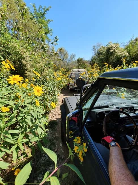 From Cavtat: Konavle Valley Off-Road Jeep Safari with Lunch - Komaji and Čilipi on the way back: the last stretch that ties it together