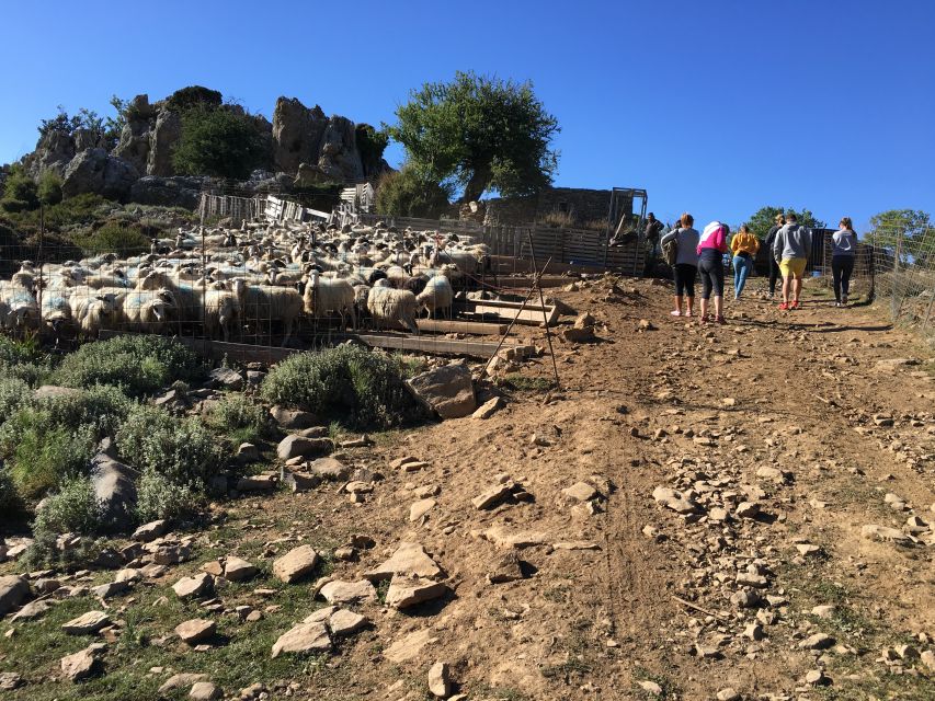 From Chania: White Mountains Land Rover Safari - Who This Tour Suits Best (and Who Should Skip It)