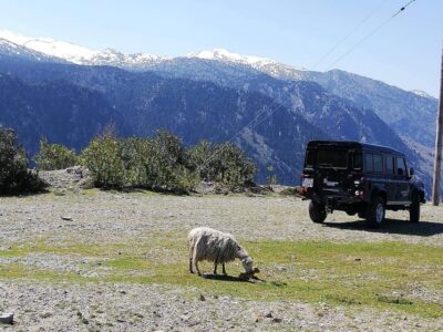 From Chania: White Mountains Land Rover Safari - The Morning Drive: Orange Groves, Villages, and a Calm Coffee Break