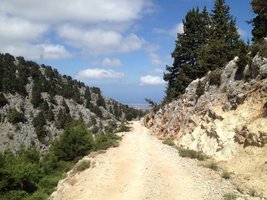 From Chania: White Mountains Land Rover Safari - 1,350-Meter Views and Wildlife Chances on Rocky Mountain Roads