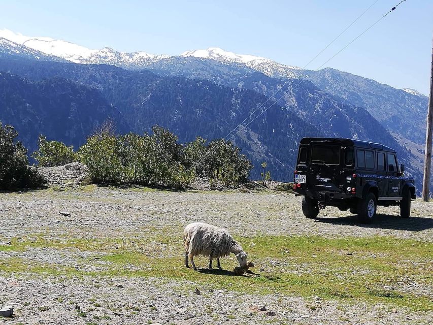 From Chania: White Mountains Land Rover Safari - The Morning Drive: Orange Groves, Villages, and a Calm Coffee Break