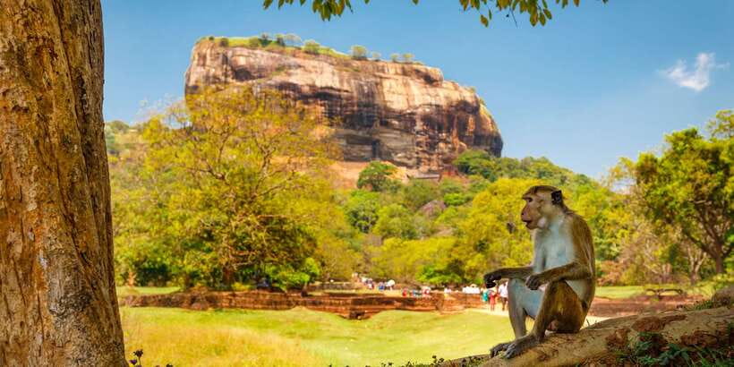 From Colombo: Sigiriya and Dambulla Day Trip with Safari - Hiriwadunna: the break that turns into a culture stop