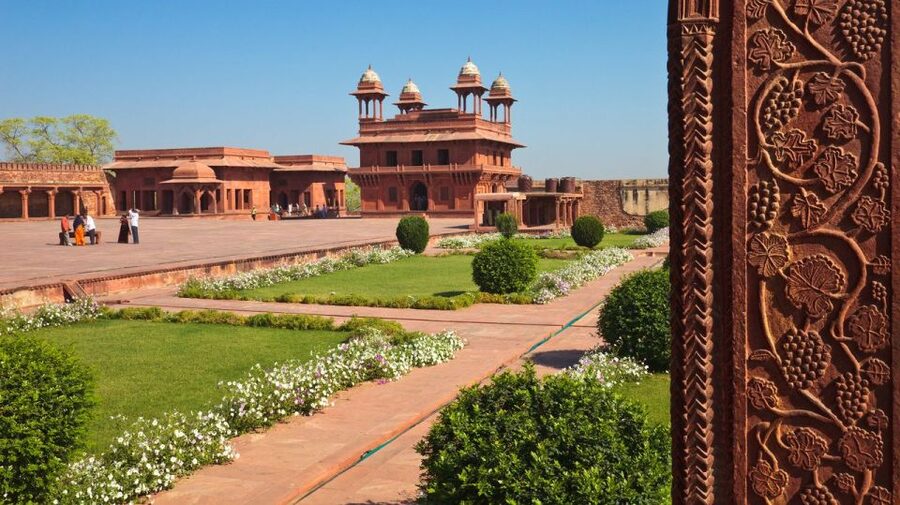 From Delhi: 5-Day Tiger Safari & Golden Triangle Tour - Private Driver and Guide Quality: Why This Trip Often Feels Effortless