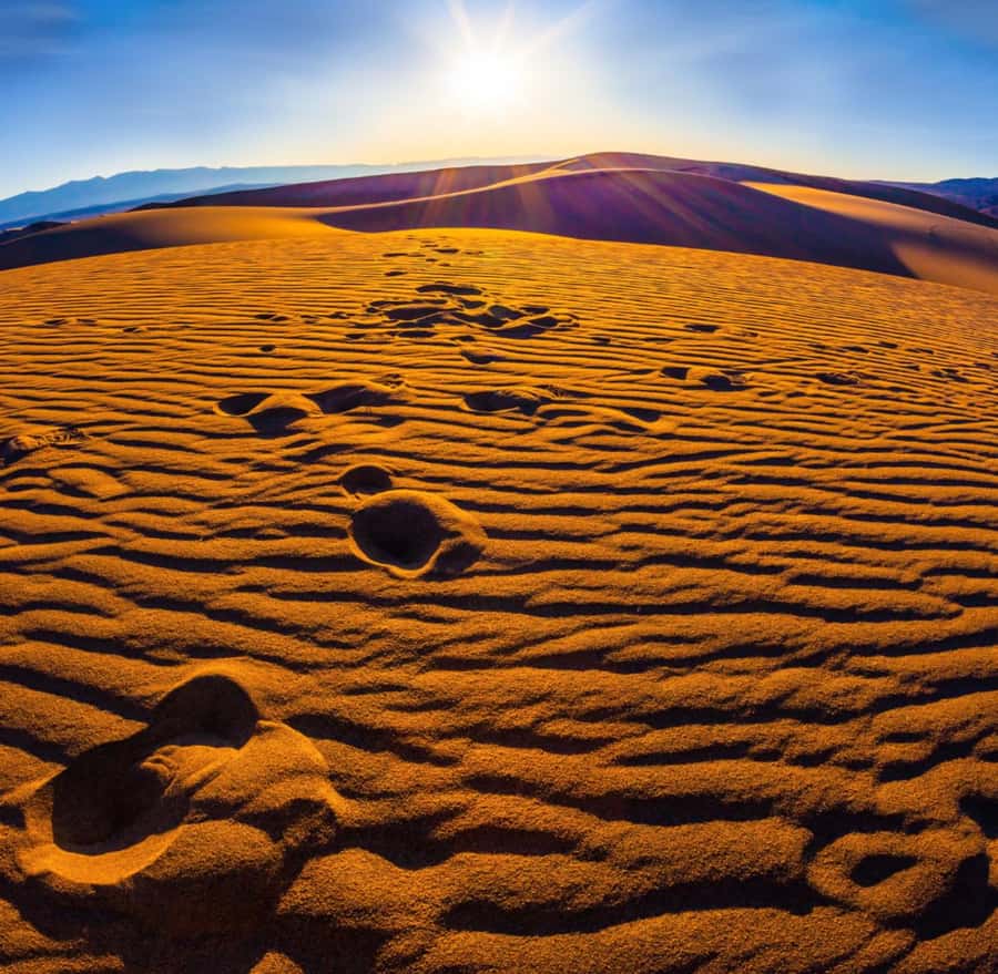 From Doha: Sunrise or Sunset Safari with Sand Boarding - Sand Boarding in Qatar: The Real Fun Part (Plus What to Expect)