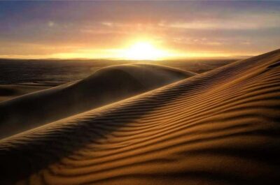 From Doha: Sunrise or Sunset Safari with Sand Boarding - 4x4 Dune Bashing: How the Ride Works and How to Choose Your Comfort
