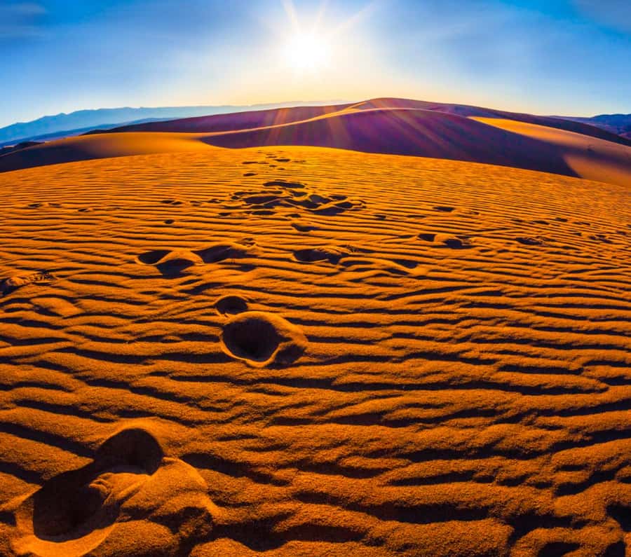 From Doha: Sunrise or Sunset Safari with Sand Boarding - A Few Booking Tips That Actually Help