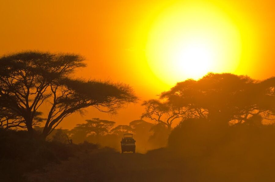 From Ella: Drop to Tangalle/Hiriketiya/Mirissa & Yala Safari - Wildlife you can realistically expect in Yala