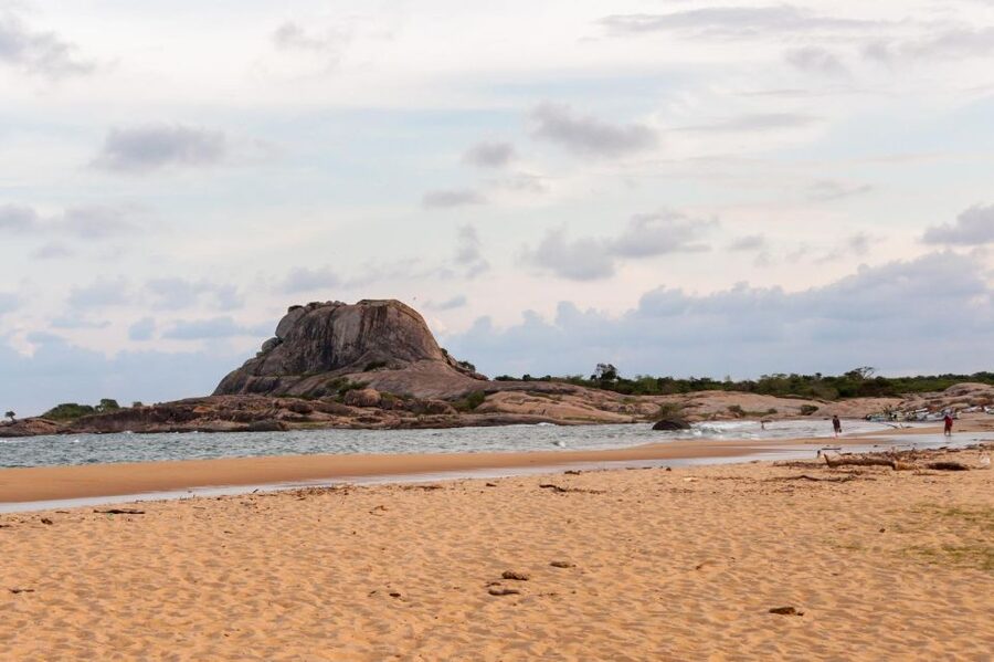 From Ella: Drop to Tangalle/Hiriketiya/Mirissa & Yala Safari - Your guide can change the whole safari experience