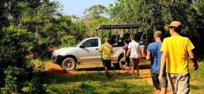 From Ella: Udawalawa Safari and Tangalle/Hiriketiya Transfer - The transfer: pick-up in Ella and air-conditioned ride to the park
