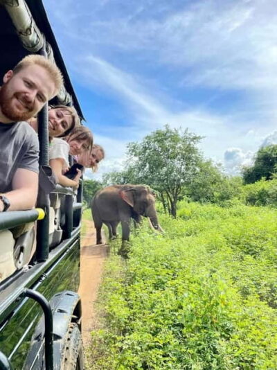 From Ella : Udawalawa Safari & Drop Tangalle/ Mirissa/ Galle - The 4x4 jeep safari in Udawalawe National Park