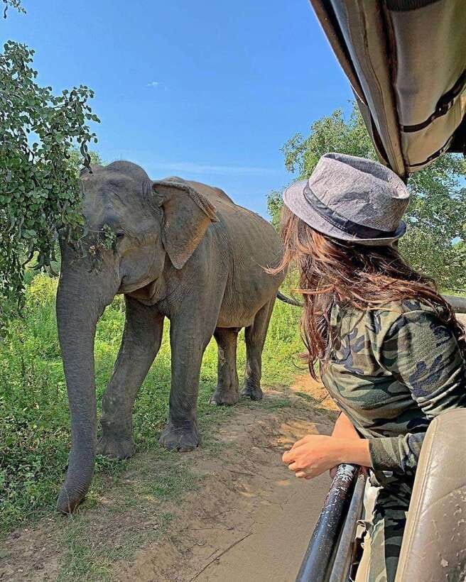 From Ella: Yala Safari with Tangalle/Mirissa/Galle Drop-off - Key things that make this day work