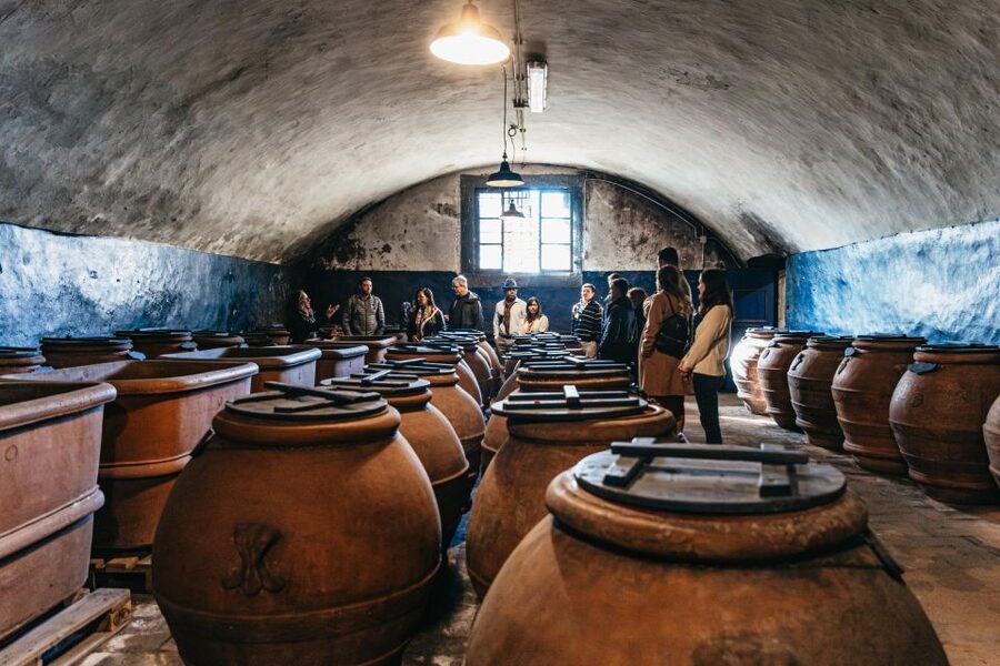 From Florence: Chianti Wine and Food Tasting Safari - Key points at a glance