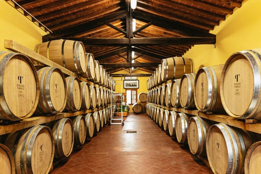 From Florence: Chianti Wine and Food Tasting Safari - Second Estate and Chianti Classico tastings