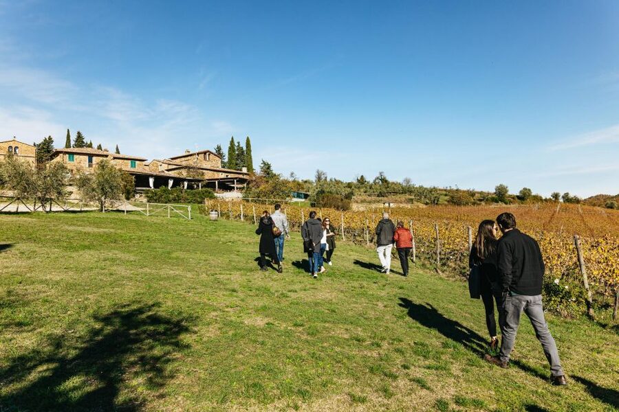 From Florence: Chianti Wine and Food Tasting Safari - Guides and drivers: why the day feels personal