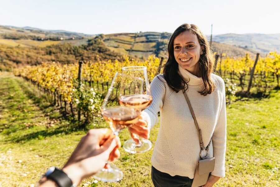 From Florence: Chianti Wine and Food Tasting Safari - Who should book (and who should skip)?