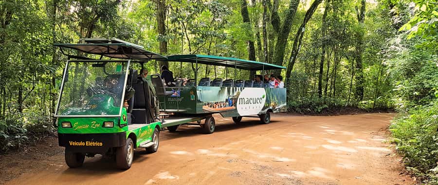 From Foz do Iguazu: Brazil Iguazu Falls & Macuco Safari Boat - How the chocolate shop stop fits in (and when it’s worth it)