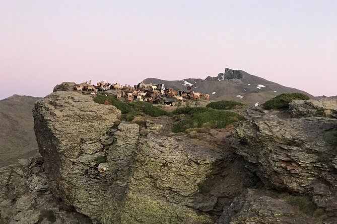 From Granada: Sierra Nevada Safari tour up to 2500 meters high - Why Sierra Nevada changes the whole Granada trip