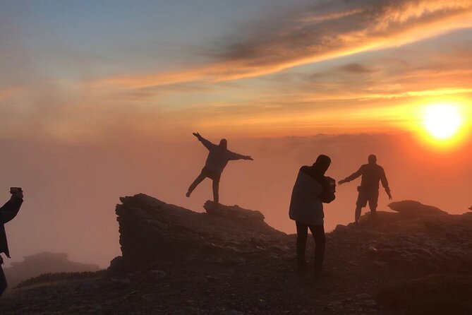 From Granada: Sierra Nevada Safari tour up to 2500 meters high - Stop in Sierra Nevada National Park: altitude, silence, and endemic life