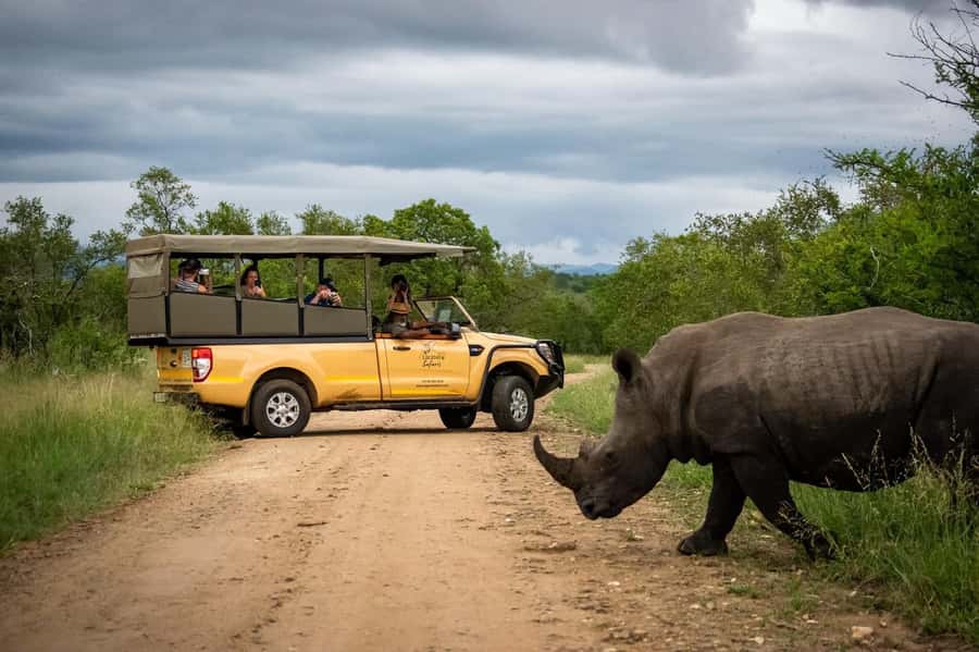 From Hazyview: Kruger National Park Full-Day Safari - From Hazyview to Phabeni Gate: Sunrise Timing That Works