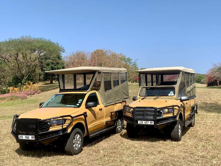 From Hazyview: Kruger National Park Full-Day Safari - Breakfast, Lunch, and the Pace of a 10-Hour Day