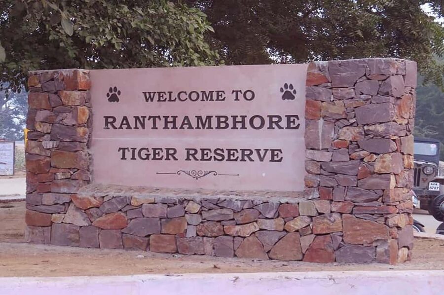 From Jaipur: Praivte Ranthambore Tour By Jeep Canter Safari - Key Things I’d Focus On Before You Go